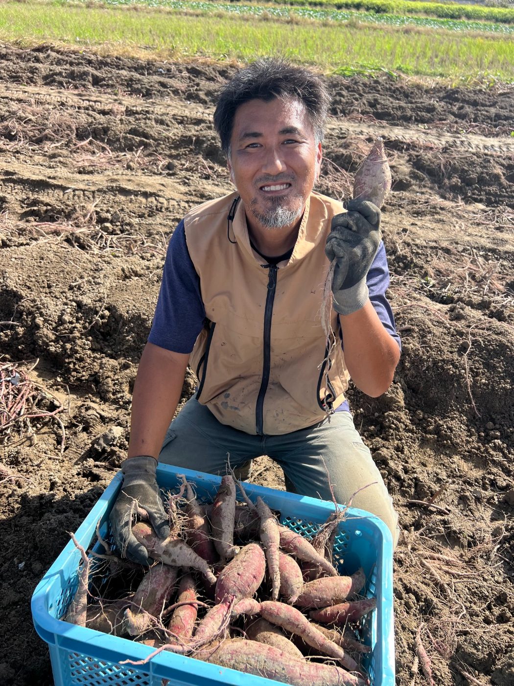 土の恵み